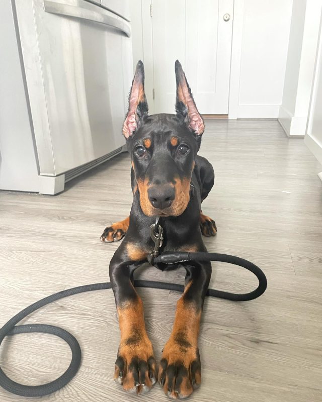 MIKA